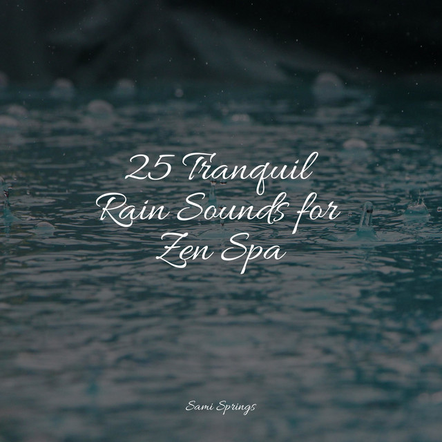 25 Tranquil Rain Sounds for Zen Spa - Album by Thunder Storm | Spotify