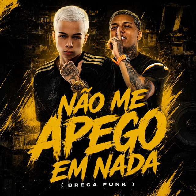 Não Me Apego Em Nada (BREGA FUNK)