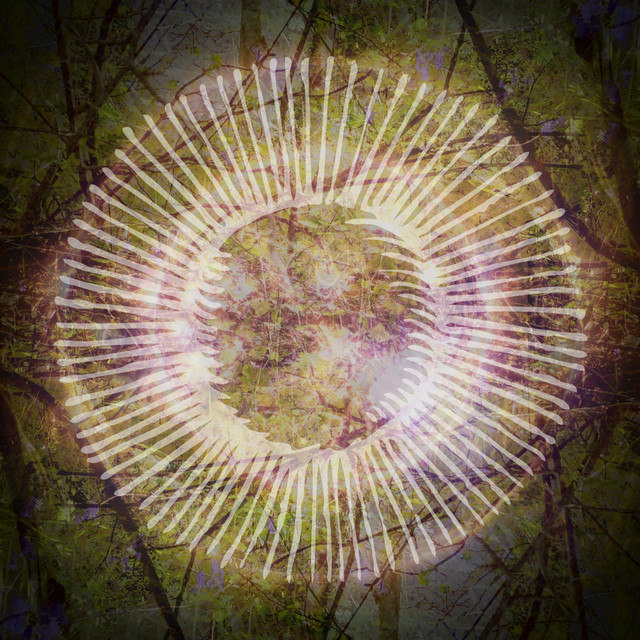 Summer Solstice XXI-VI-MMXXII