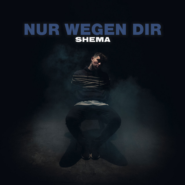 Nur Wegen Dir cover