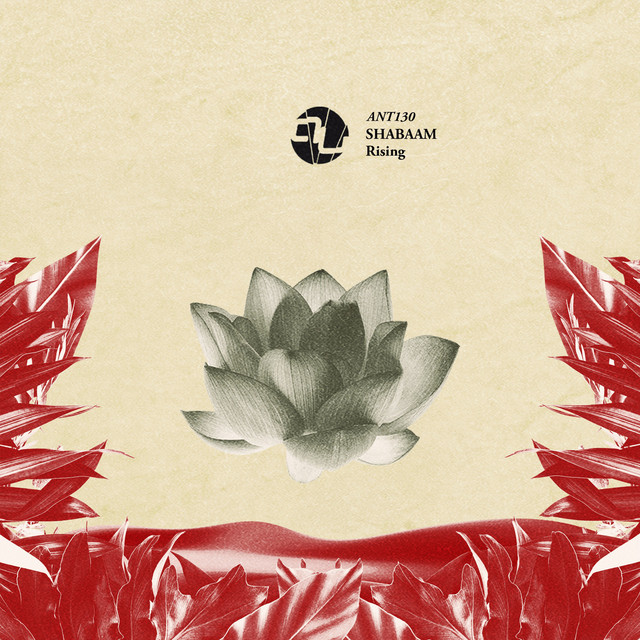 Rising album art