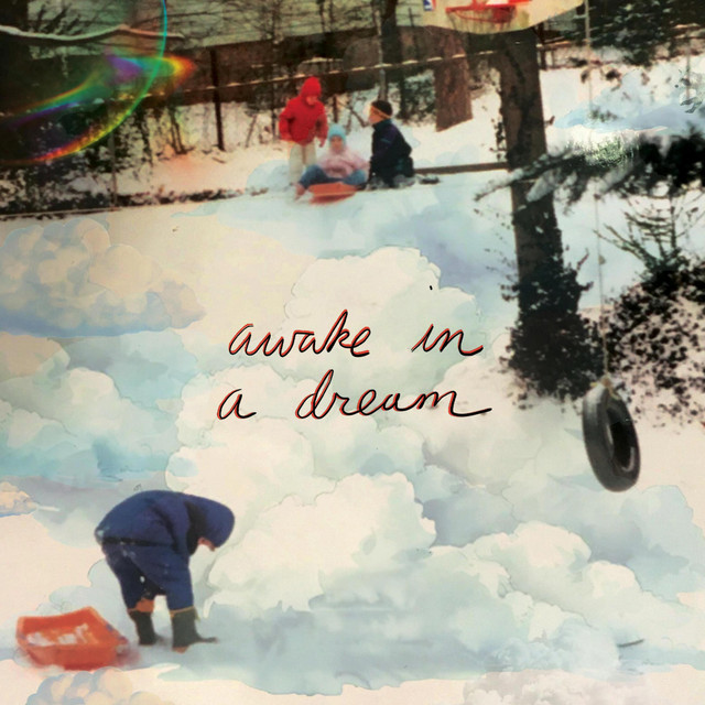 Awake in a Dream - Album by Halpine | Spotify