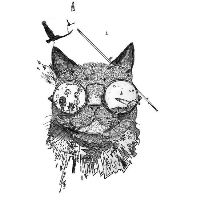 Cat Matters cover art