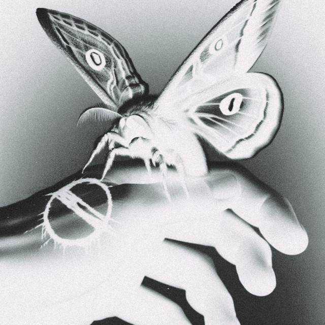 LONOMIA cover art