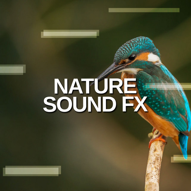 Wet Windy Spring Ambience - song and lyrics by Pro Sound Effects ...