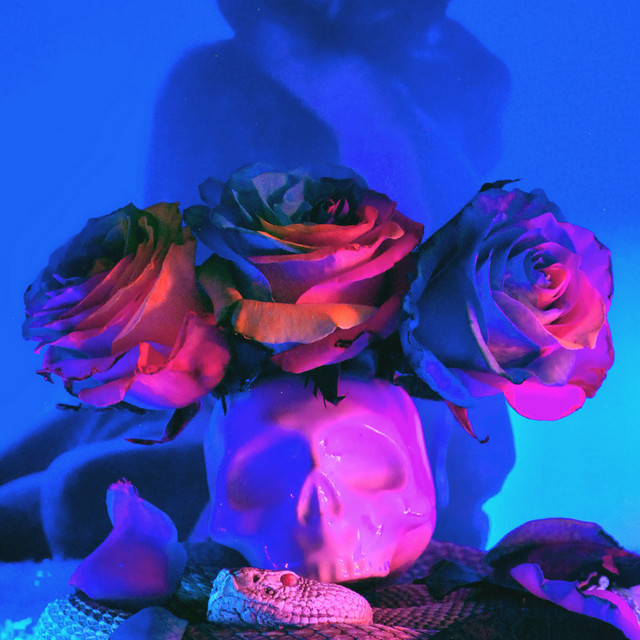SIMISM cover art