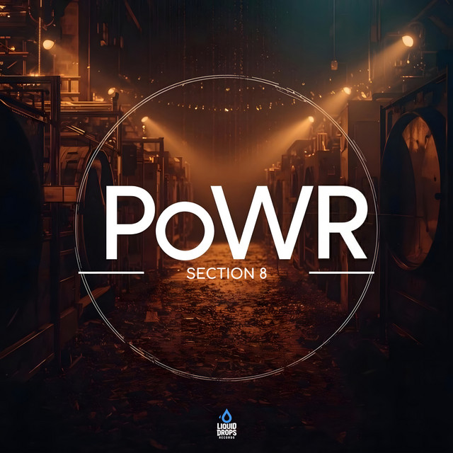 Section 8 cover art