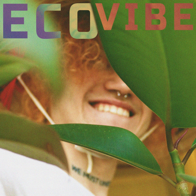 Eco Vibe cover art