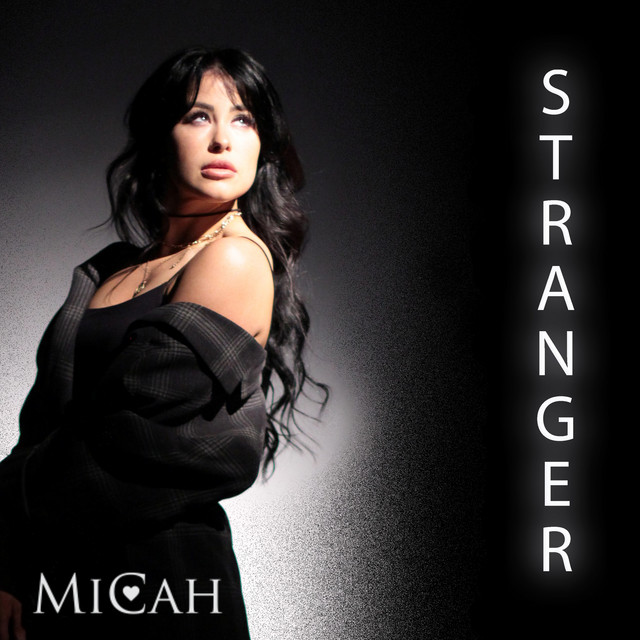 Stranger cover art