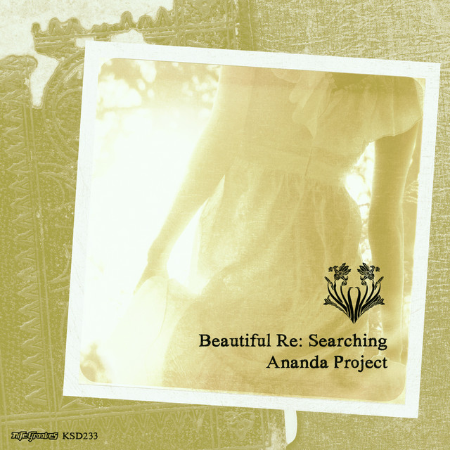 Beautiful Re-Searching cover art