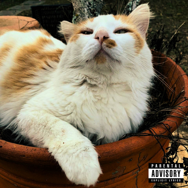 Leseira cover art