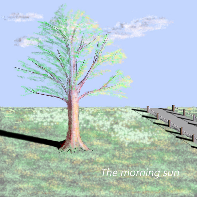 The morning sun cover