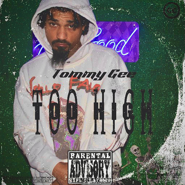 Too High cover