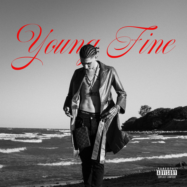 Young Fine cover art