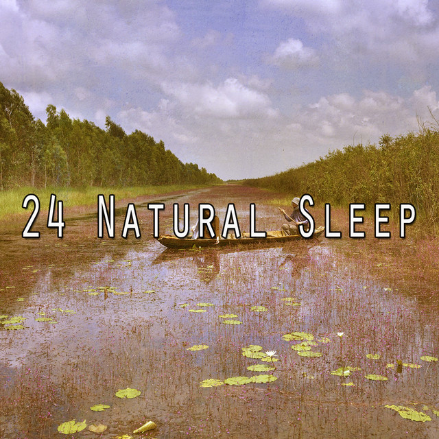 24 Natural Sleep - Album by Sounds Of Nature | Spotify