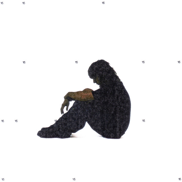 15 cover art