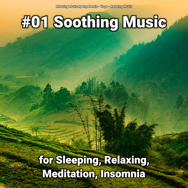 #01 Soothing Music for Sleeping, Relaxing, Meditation, Insomnia cover art