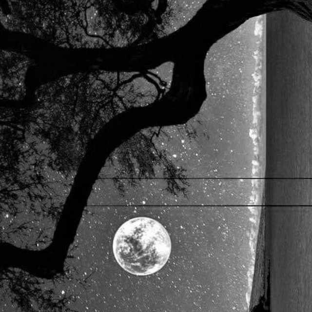 Night Sleep cover art