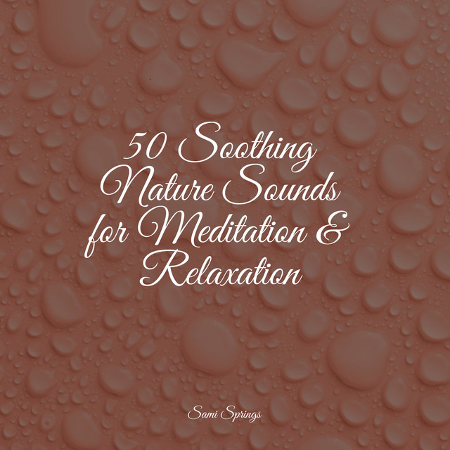 50 Soothing Nature Sounds for Meditation & Relaxation - Album by ...