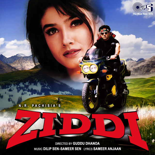 Mera Dil Le Gayee cover art