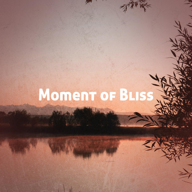 Vital Ambient Music