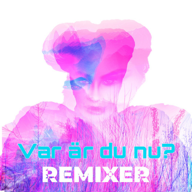 Var är du nu? (Remixes) album image