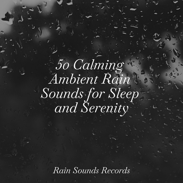 50 Calming Ambient Rain Sounds for Sleep and Serenity - Album by ...