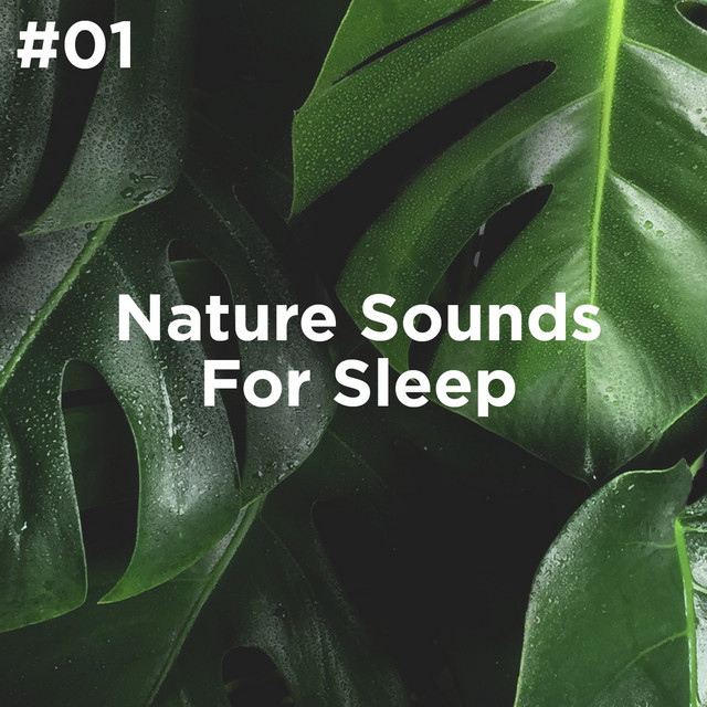 Ocean Sleep