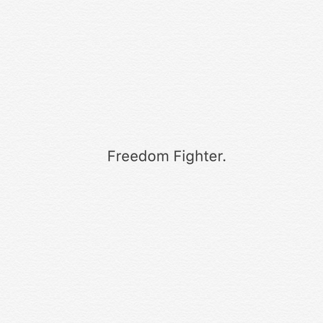 Freedom Fighter - Single by Daniel Johnson | Spotify
