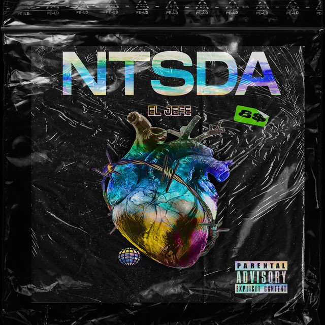 NTSDA cover art