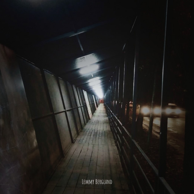 Обкладинка: Once Upon a Time — Lemmy Bergland