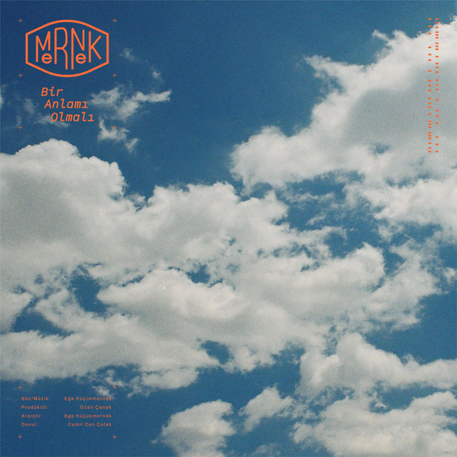 Bir Anlamı Olmalı cover art