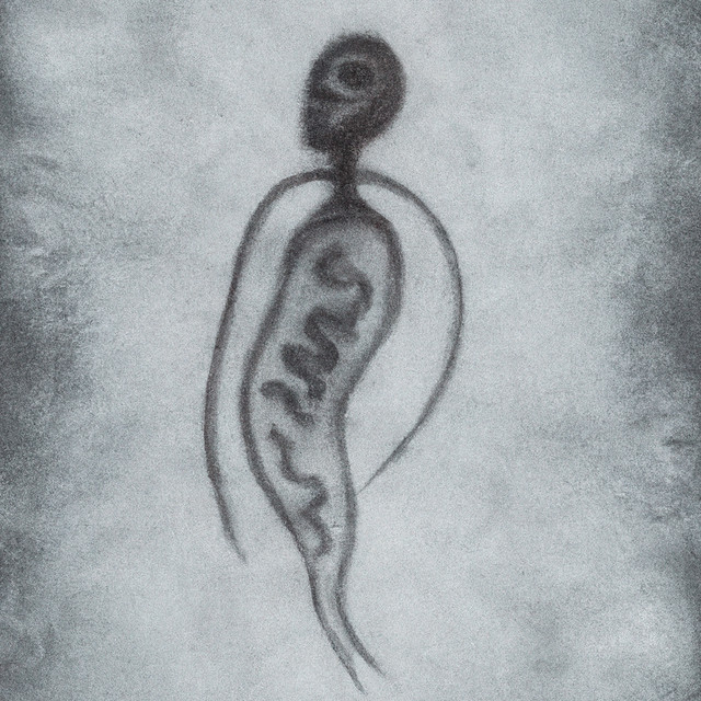 Gaurkoa Bihar album art
