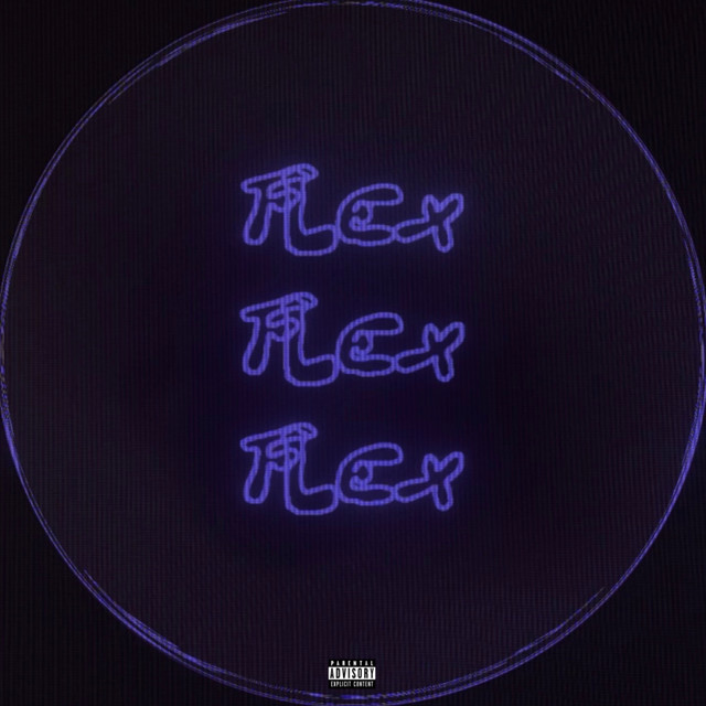 FLEXFLEXFLEX cover art