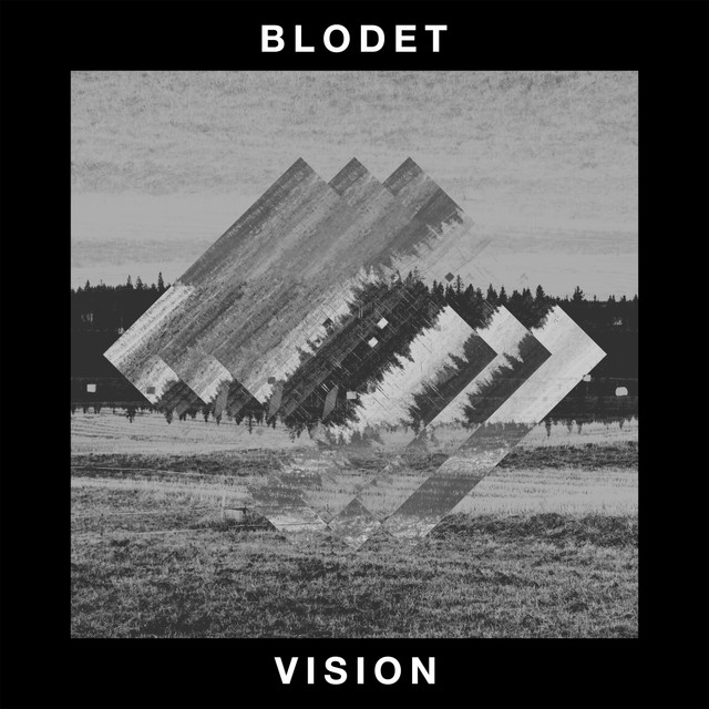 Vision cover