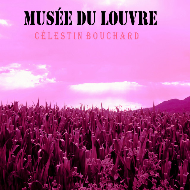 Musée du Louvre cover