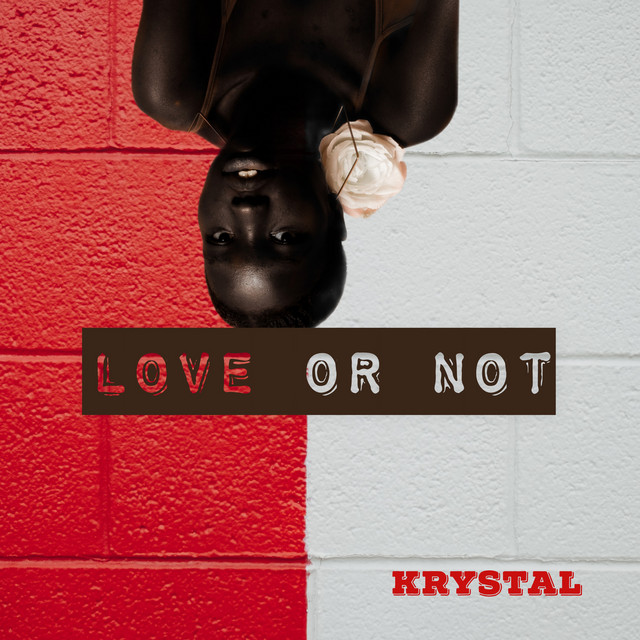 LOVE OR NOT