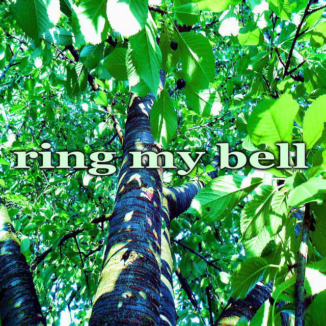 Ring My Bell (Deephouse Music) cover