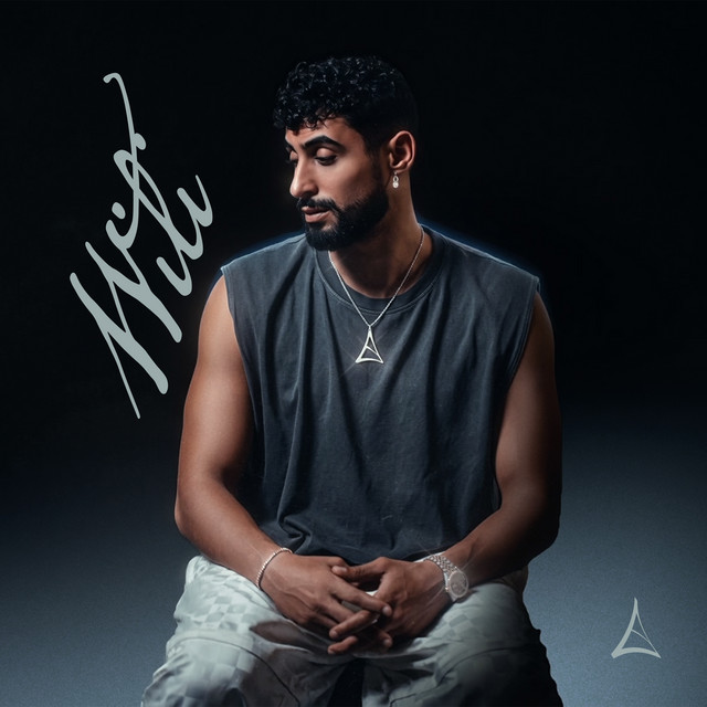 Wili album image