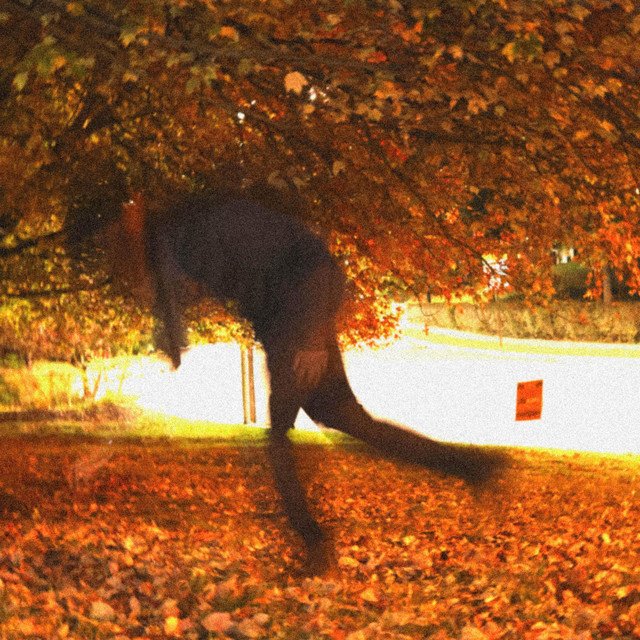 falling and getting back up cover art