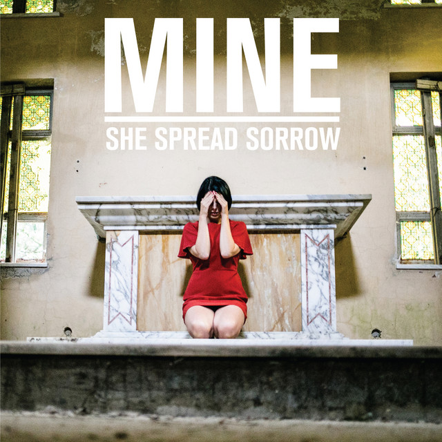 Mine cover