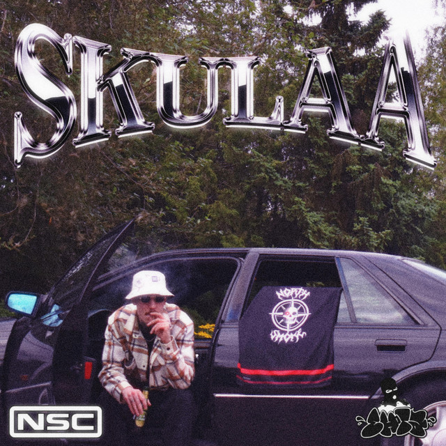Skulaa
