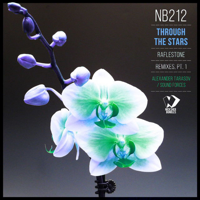 Through the Stars - Alexander Tarasov Remix cover art