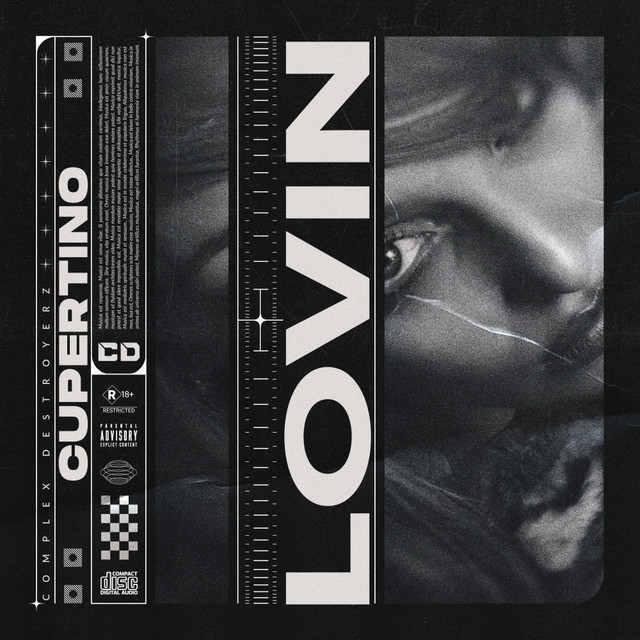 Lovin cover