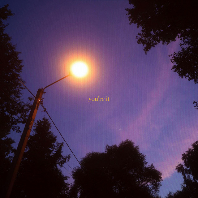 you're it cover