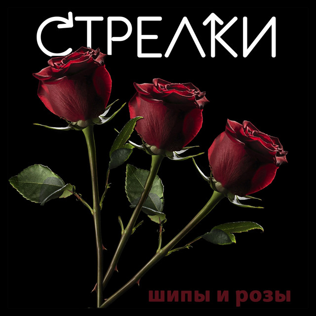 Шипы и розы cover art