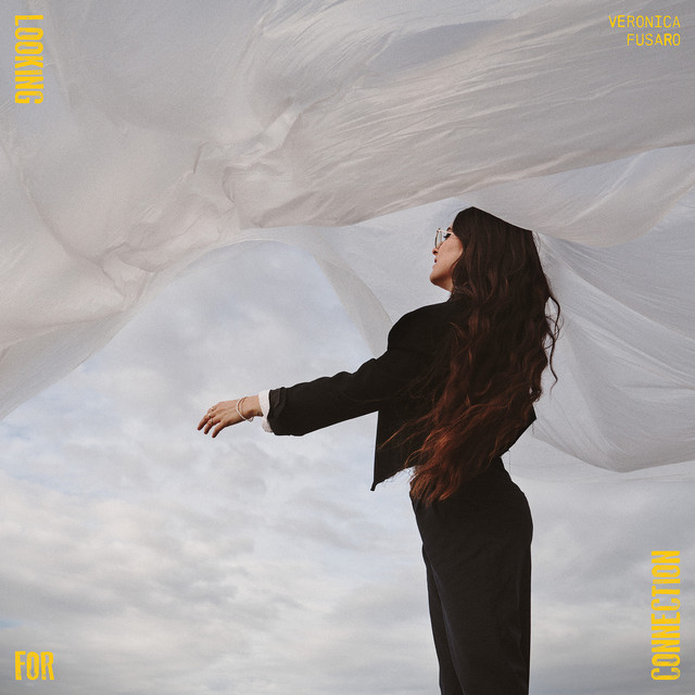 Looking for Connection cover art