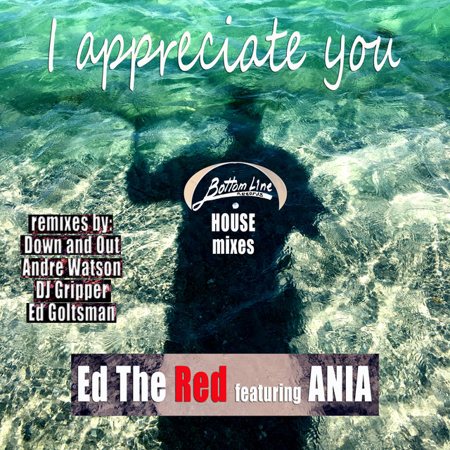 I Appreciate You cover