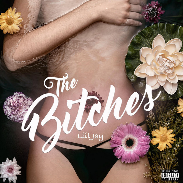 Bitches cover art