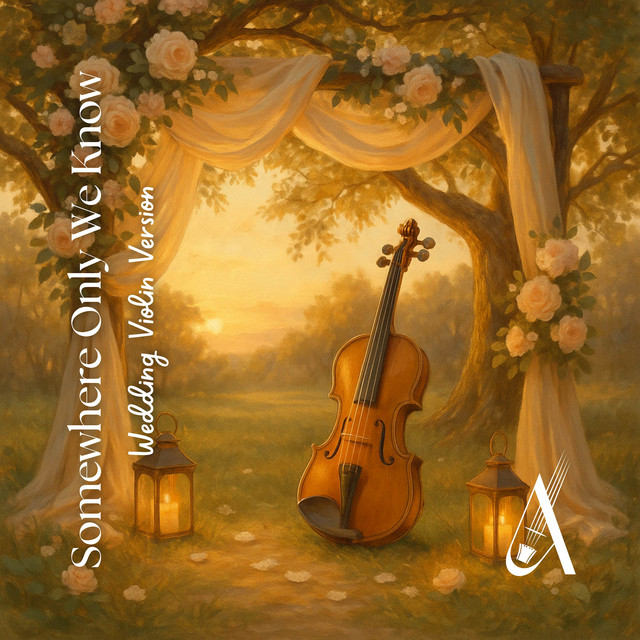 Somewhere Only We Know (Violin Cover) cover art